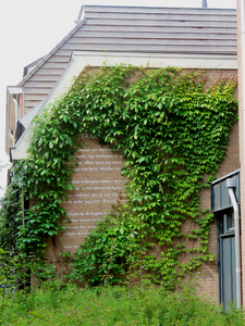 912987 Afbeelding van het gedicht Bokstraat van Ingmar Heytze geschilderd op de zijgevel van de woning Bokstraat 39 te ...